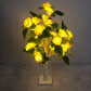 🔥 LAST DAY SALE 50% OFF🔥 Birch Tree LED Lamp for Indoor Decor
