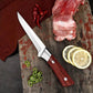 🔥 LAST DAY PROMOTION - 50%OFF 🔥Knife Recommended By a Michelin Chef - Japanese Premium Knife🔪