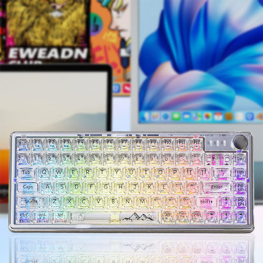 Universal Transparent Mechanical Keyboard with RGB Backlight